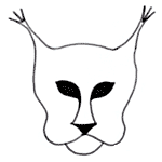 lynx